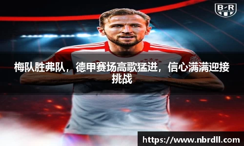 奇异果体育官方app